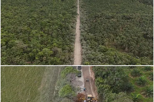 Vía al Barro impulsa el desarrollo en San Carlos de Guaroa