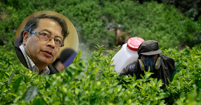 CRC negó cadena de Petro por cultivos de coca