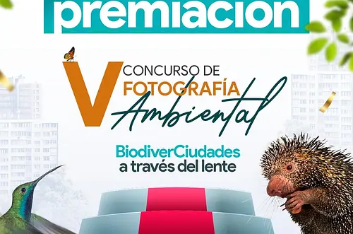 Cormacarena premia el talento ambiental del Meta