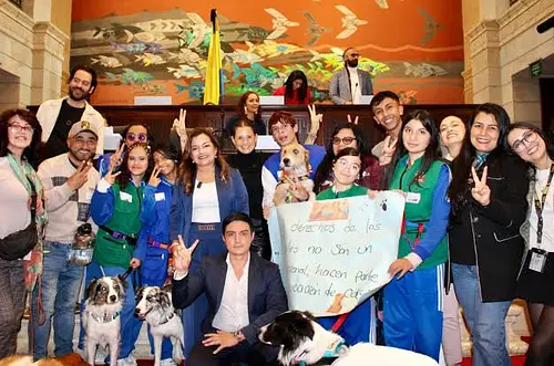 Colegios del país deberán incluir educación en protección animal