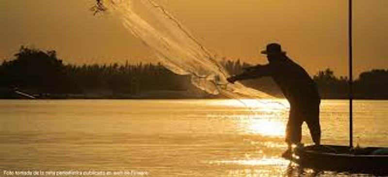 MinAgricultura lanza incentivos para pesca y acuicultura