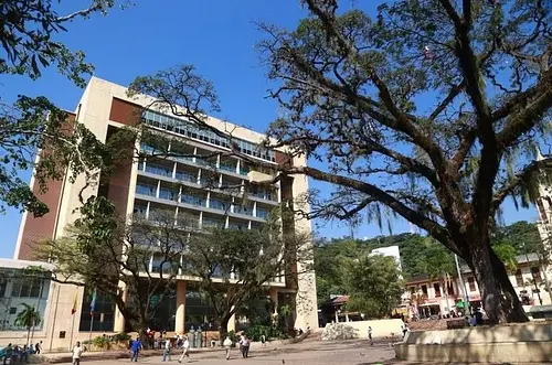 Meta logra mantener la categoría primera para el 2026