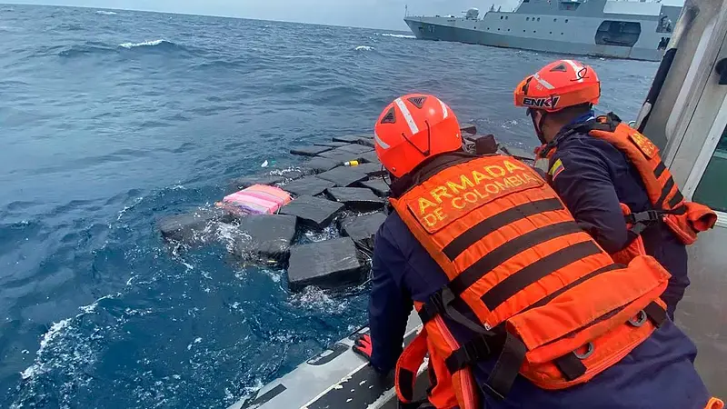 Colombia incauta más de 7.200 toneladas de drogas en 3 años