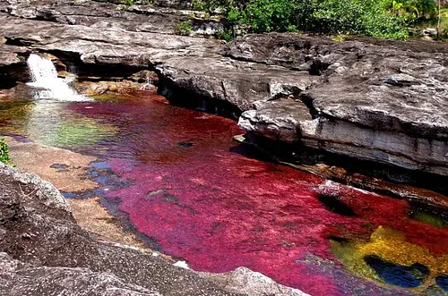 Meta, referente nacional en calidad turística