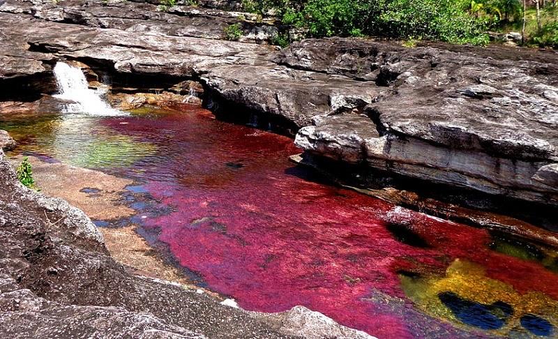 Meta, referente nacional en calidad turística
