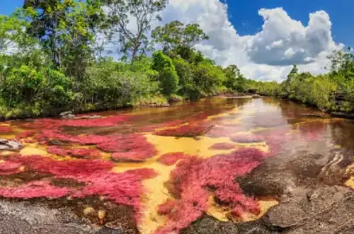 Rutas que revelan la herencia cultural del Meta