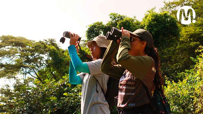 Meta, destino clave para el aviturismo en Colombia