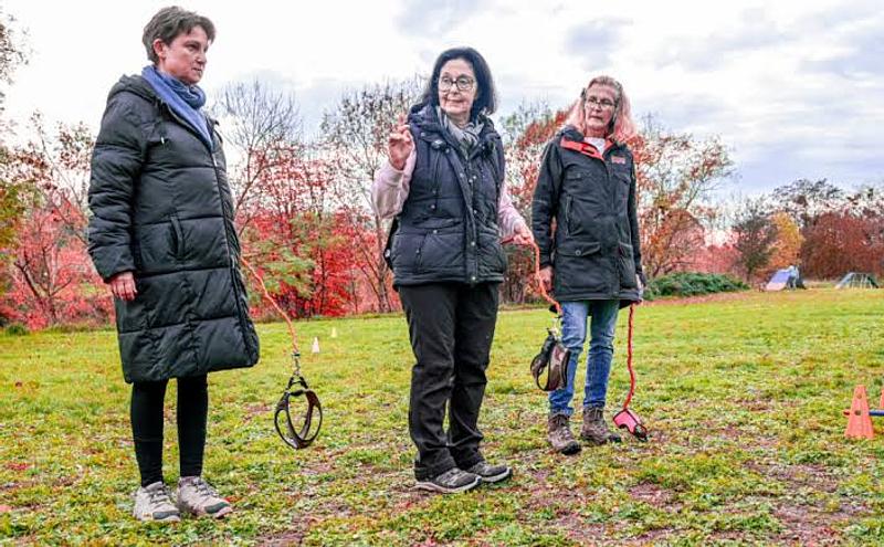 Hobby Dogging nueva moda en Europa, pasear perros invisibles