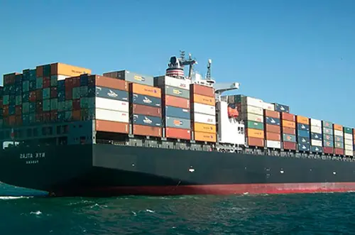 Exportaciones de aguacate crecieron un 21,3% durante 2025