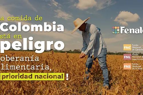 Consumo de cereales, leguminosas y soya crece todos los días