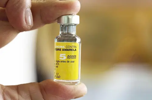 Alerta por fiebre amarilla: Meta aplica 151 mil vacunas