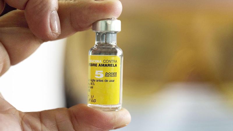 Alerta por fiebre amarilla: Meta aplica 151 mil vacunas