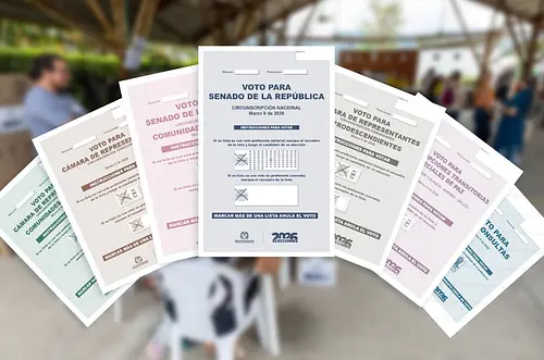 ¿Cuáles son y cómo marcar las tarjetas electorales?