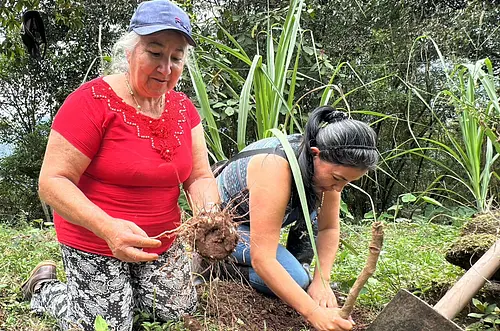 Mujeres de El Calvario fortalecen producción de alimentos