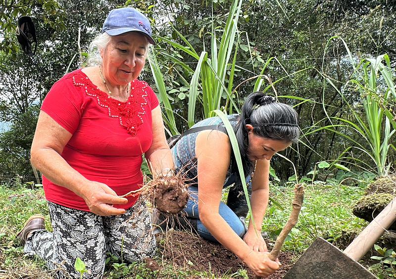 Mujeres de El Calvario fortalecen producción de alimentos