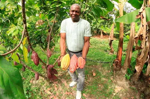 Sector rural registra la tasa de desempleo más baja