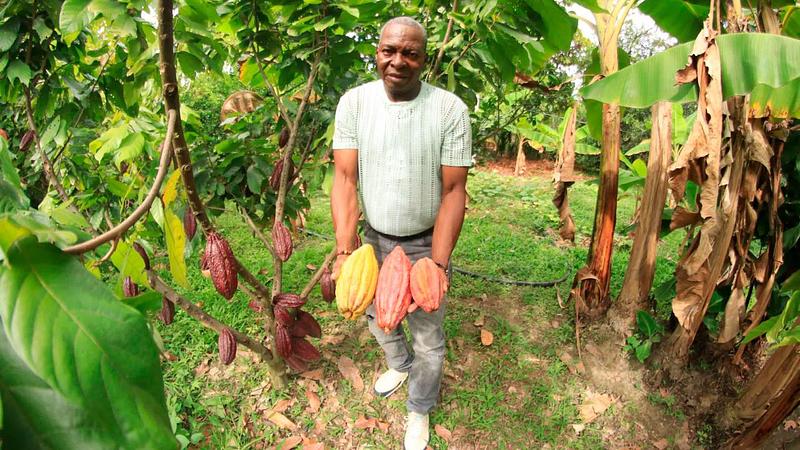 Sector rural registra la tasa de desempleo más baja