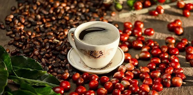 Abastecimiento de alimentos creció 4,2 % en febrero en Colombia