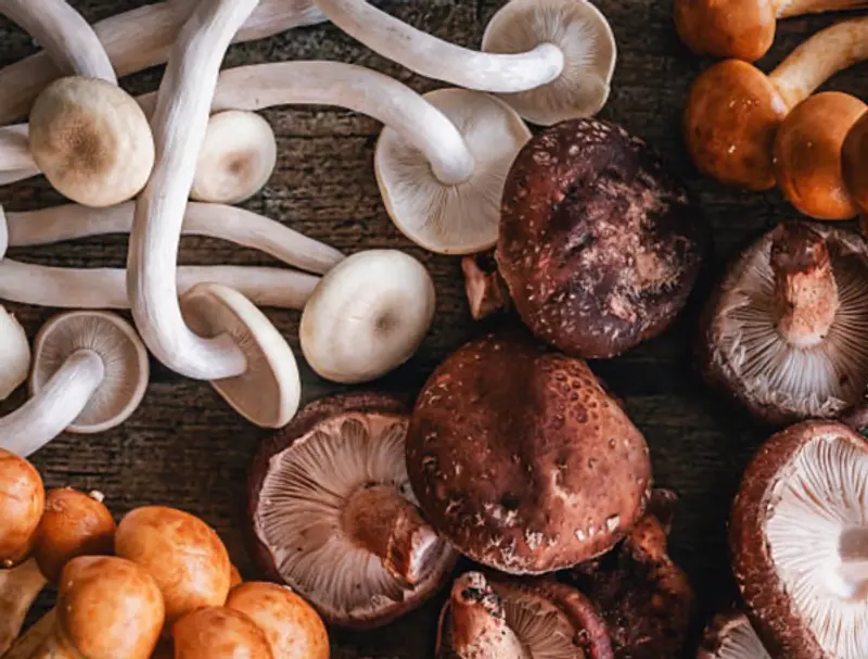 7 alimentos para cuidar su hígado y su salud