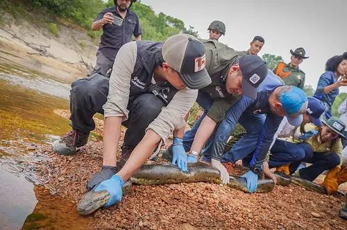 Más de 130 animales silvestres regresan a la libertad