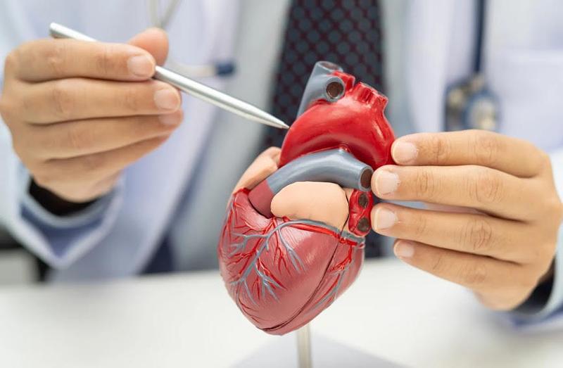 Cómo la tecnología está transformando su atención