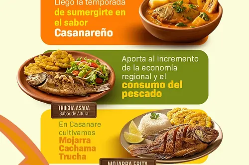 PezCasanare promueve el consumo de pescado