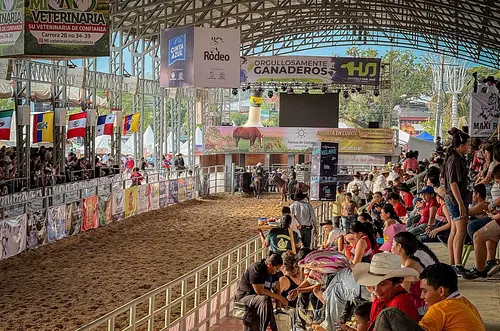 El Meta recibió un 47% más de vehículos que en 2025