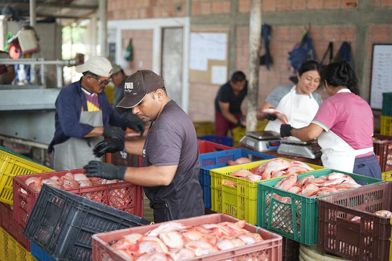 Exportaciones del sector pesquero crecen pese a aranceles