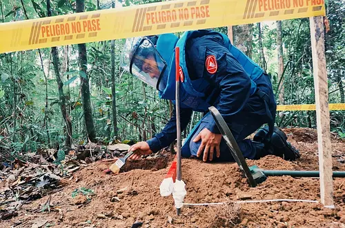 74 municipios intervenidos para desminado humanitario