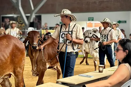 Conozca el plan de movilidad para ExpoMalocas 2026