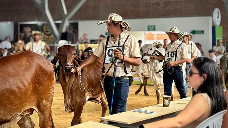 Conozca el plan de movilidad para ExpoMalocas 2026