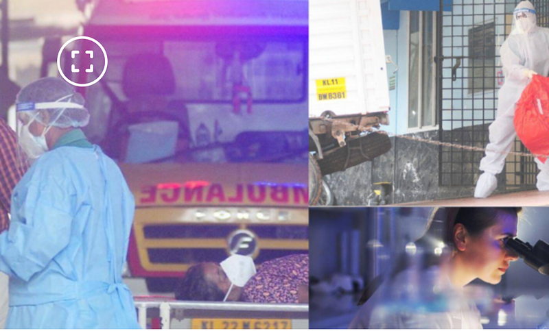 ¿Que se sabe del virus Nipah? Encendió alarmas en Asia