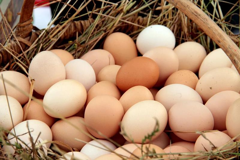 MinAgricultura comprará 3 millones de huevos a avícolas PYME