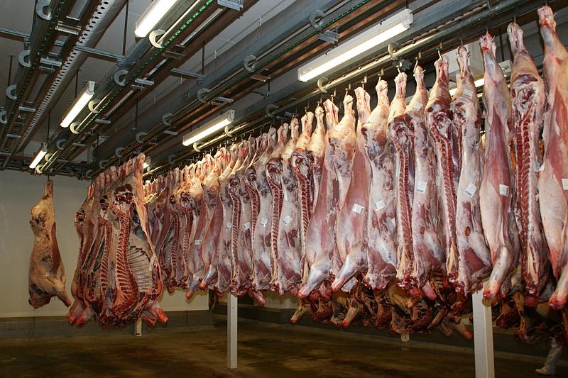 Analdex rechaza restricciones a exportación de carne bovina
