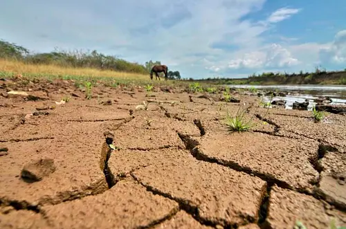 Alerta por El Niño: NOAA confirma que irá hasta fin de año