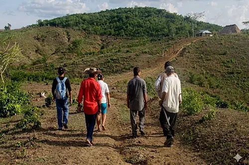 Procuraduría pide acelerar la restitución de tierras