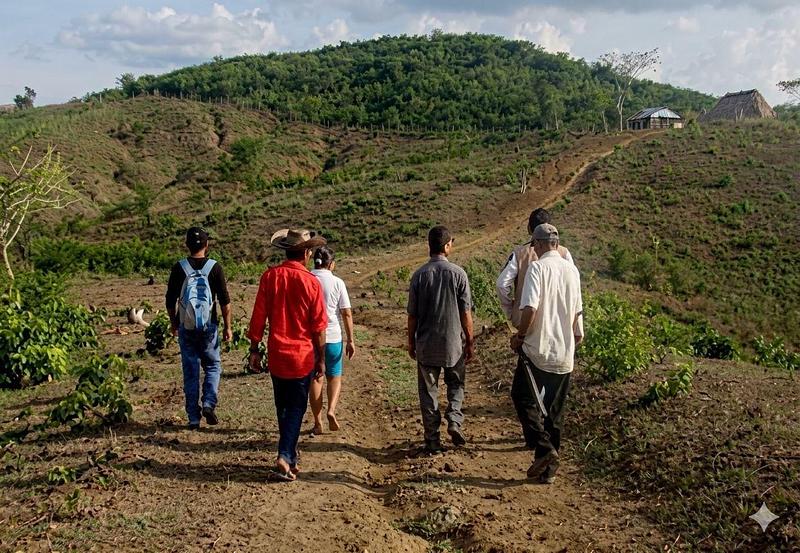 Procuraduría pide acelerar la restitución de tierras