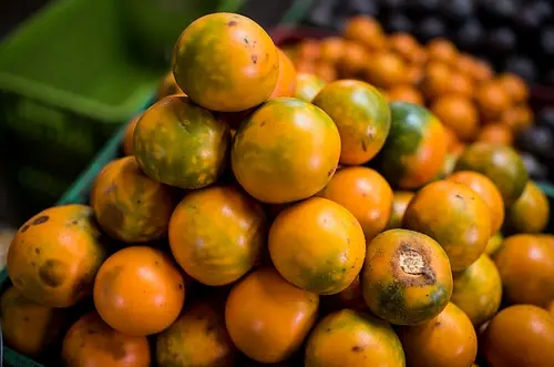 Potencial agrícola de Colombia impulsa apuestas de inversión