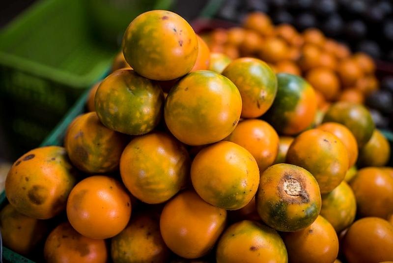 Potencial agrícola de Colombia impulsa apuestas de inversión