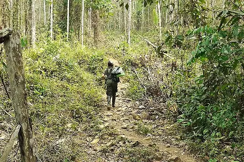 Alerta en Caquetá: niños ocultos en zona de guerra