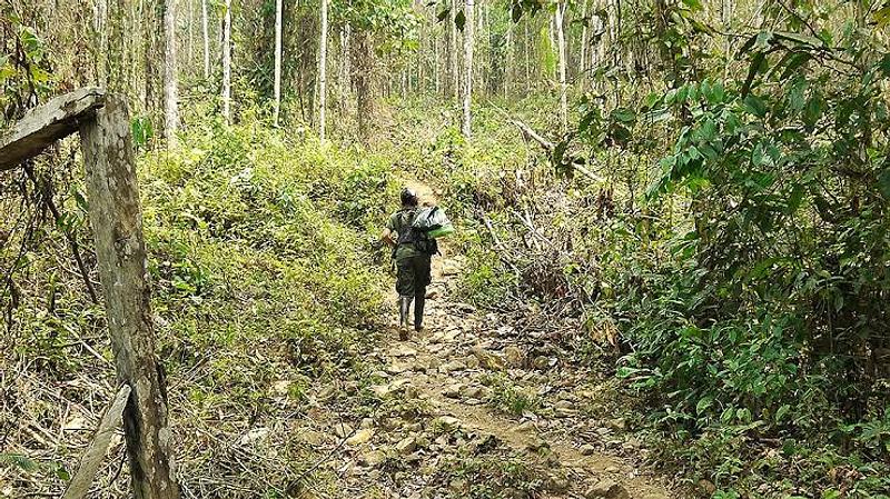Alerta en Caquetá: niños ocultos en zona de guerra