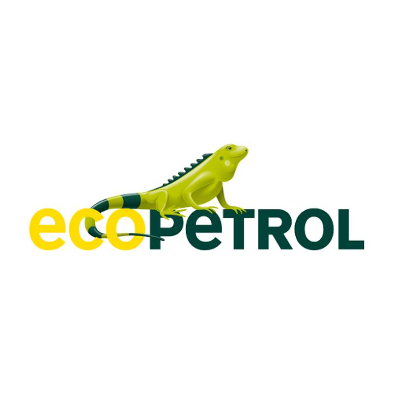 Licencia en Ecopetrol abre dudas en su liderazgo