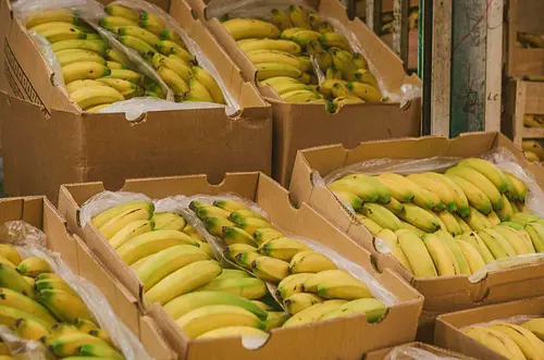 Exportaciones agropecuarias crecieron 11,6% en valor