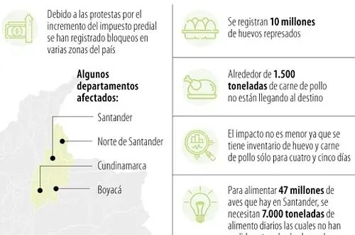 10 millones de huevos represados, y retrasos sector avícola