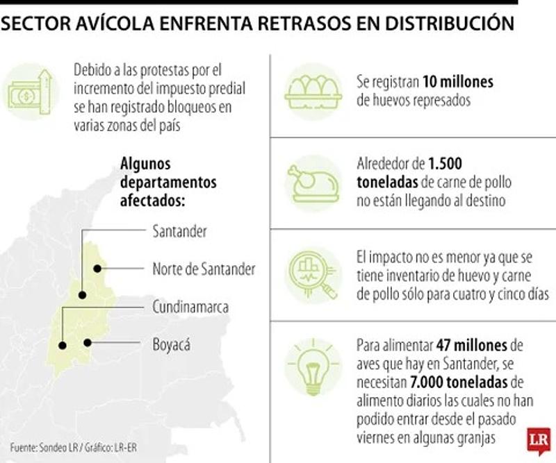 10 millones de huevos represados, y retrasos sector avícola