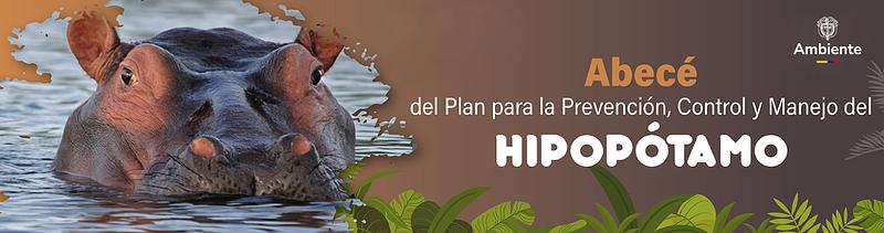 Se confirma que iniciará la eutanasia hipopótamos Colombia