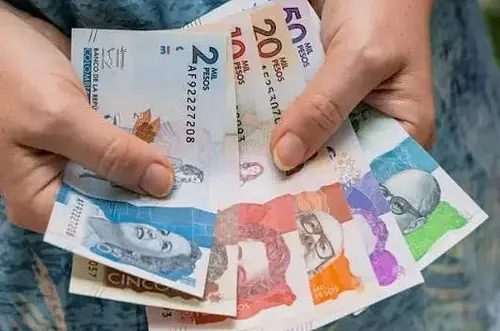 Consejo de Estado frena alza del salario mínimo 2026