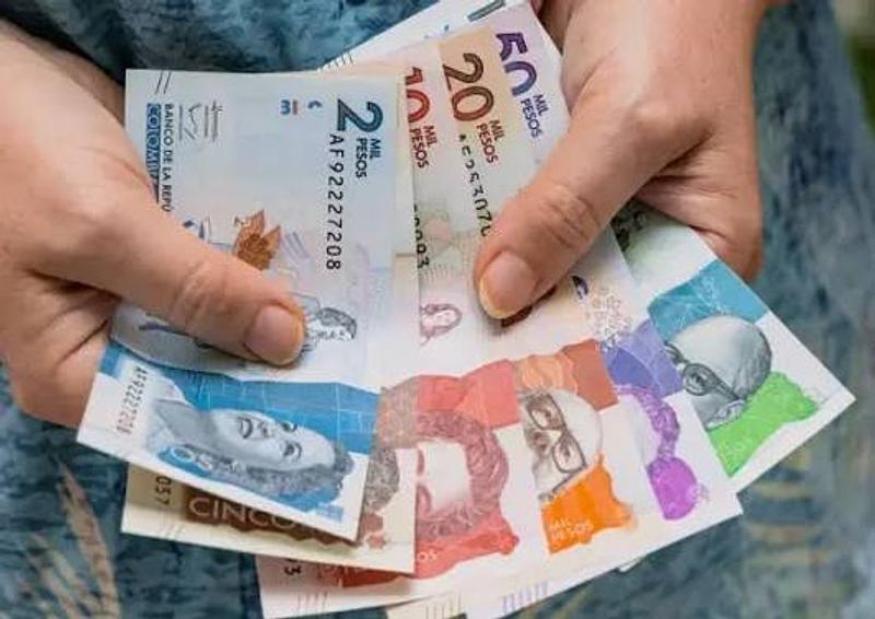 Consejo de Estado frena alza del salario mínimo 2026