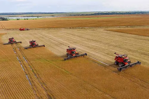 Agropecuaria La Fazenda revitaliza altillanura Colombiana