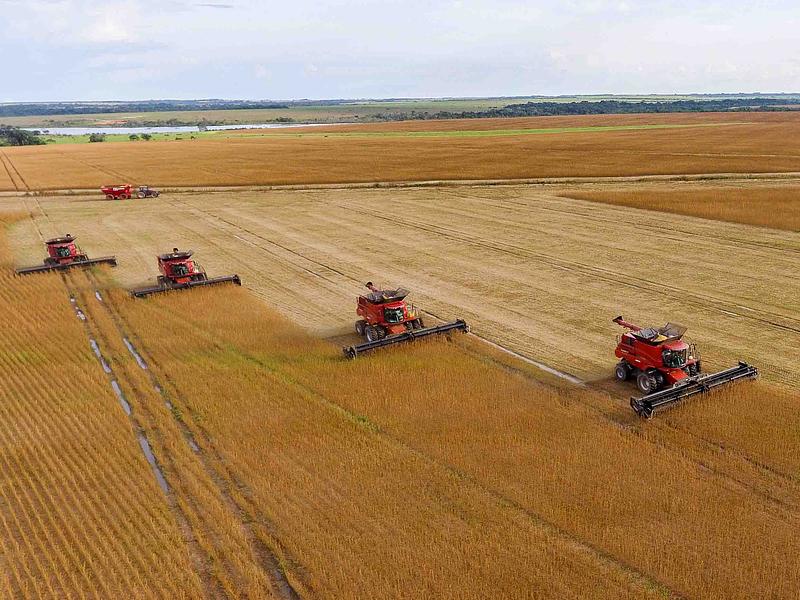 Agropecuaria La Fazenda revitaliza altillanura Colombiana